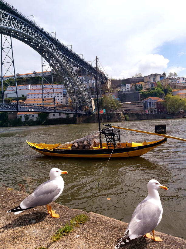 Porto Porto Port, Portugal